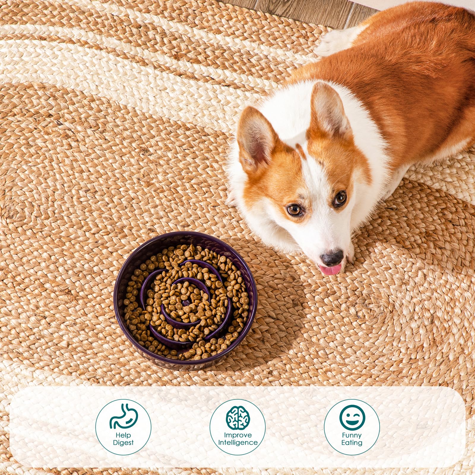 Vancasso slow-feeder bowl ridges design highlights slowed feeding for healthier dining.