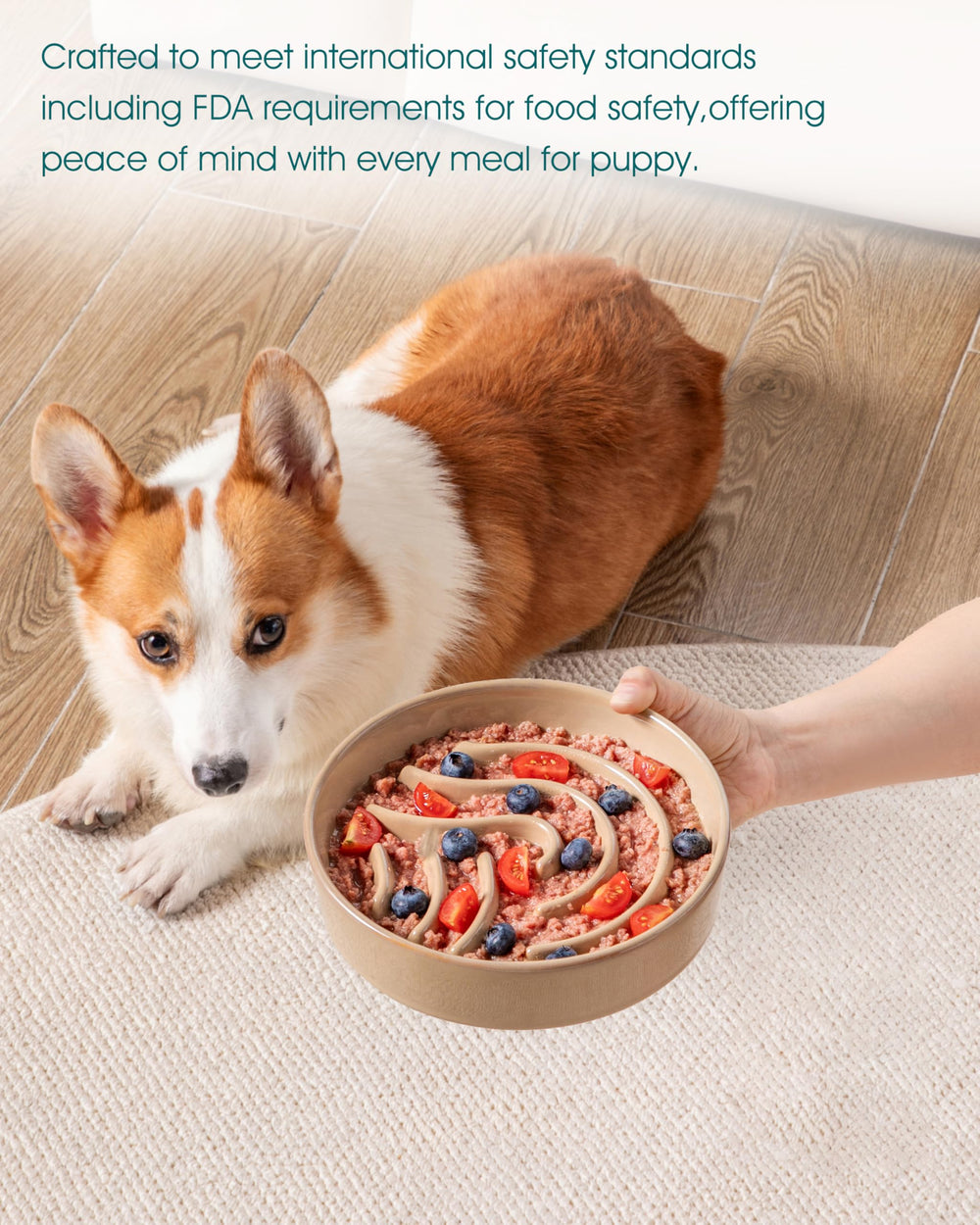 Vancasso small 0.6 cup size pictured suits tiny breeds and kittens.