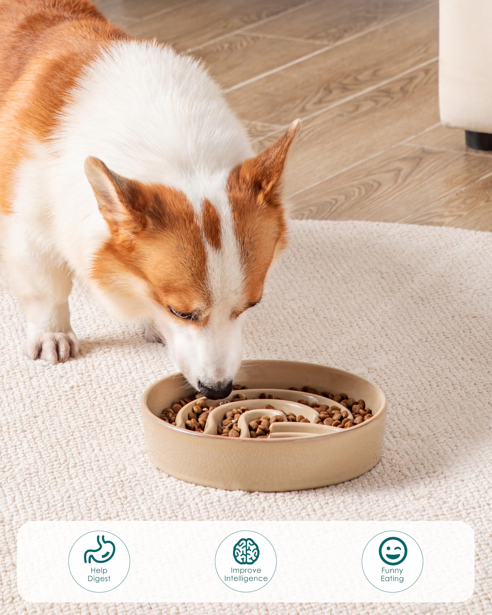 Vancasso medium 1.5 cup size shown fits most small to medium dogs.