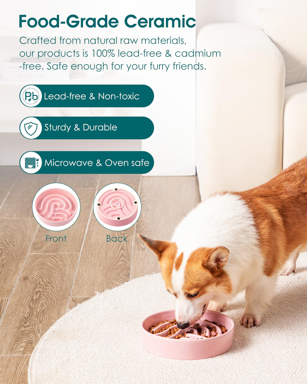 Vancasso slow feeder 1.5 cup size ideal for small to medium dogs.