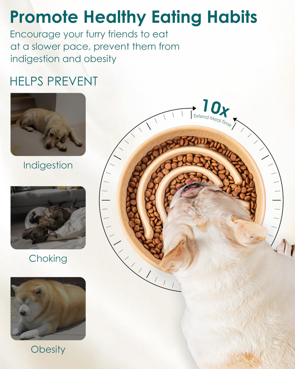 Vancasso slow feeder 0.6 cup bowl designed for tiny breeds