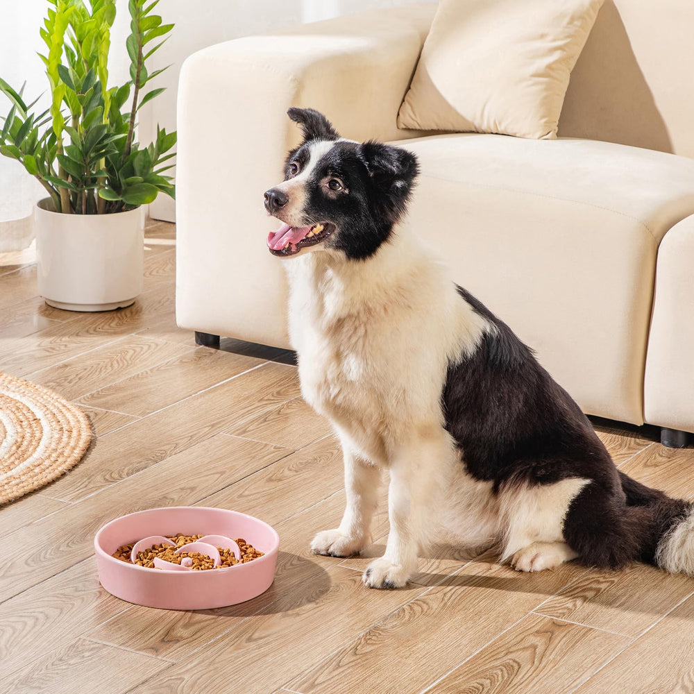 Vancasso slow feeder bowl weighted base image shows stability during meals
