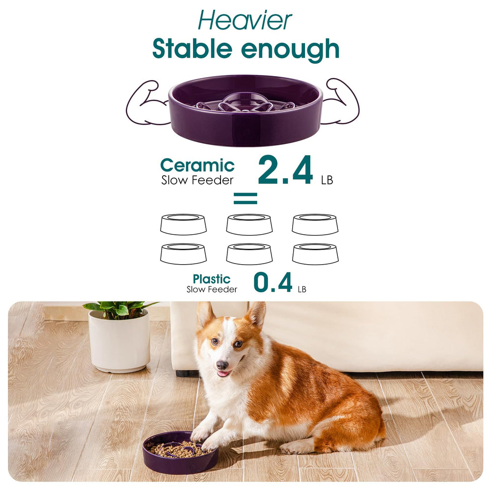 Vancasso slow-feeder bowl weighted base non-slip preventing spills during meals.