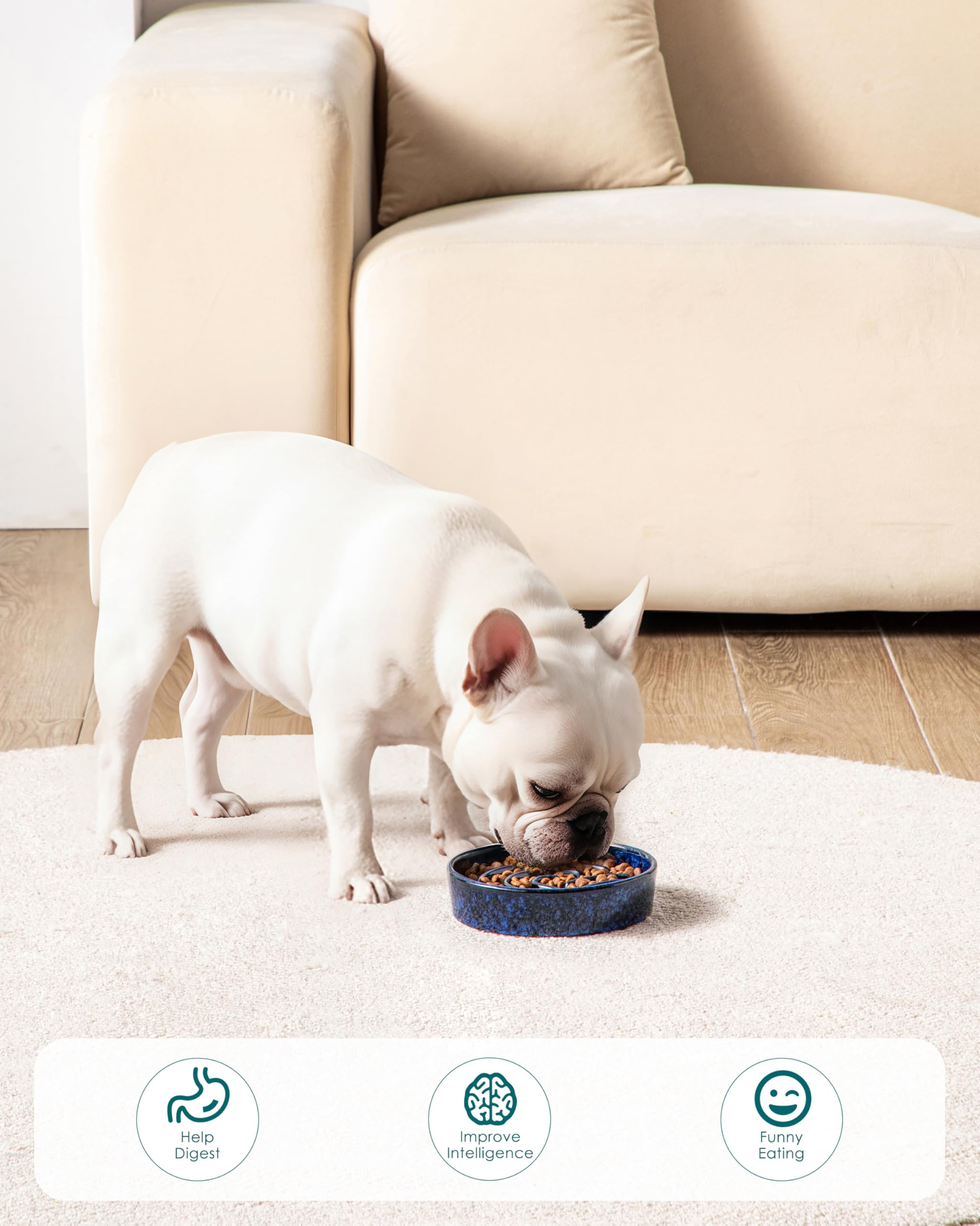 Vancasso 1.5 cup medium slow feeder bowl supports small-to-medium dogs