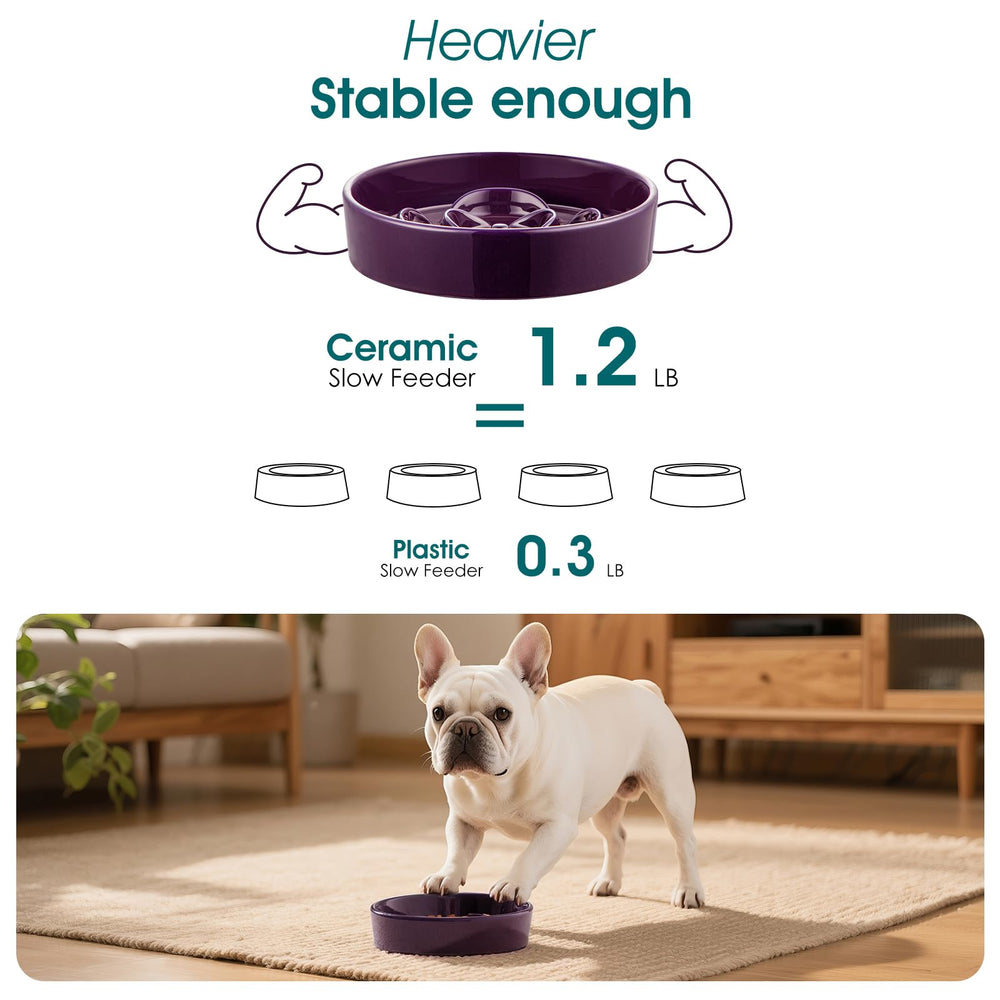 Vancasso slow feeder dog bowl 6.25-inch diameter fits small pets.