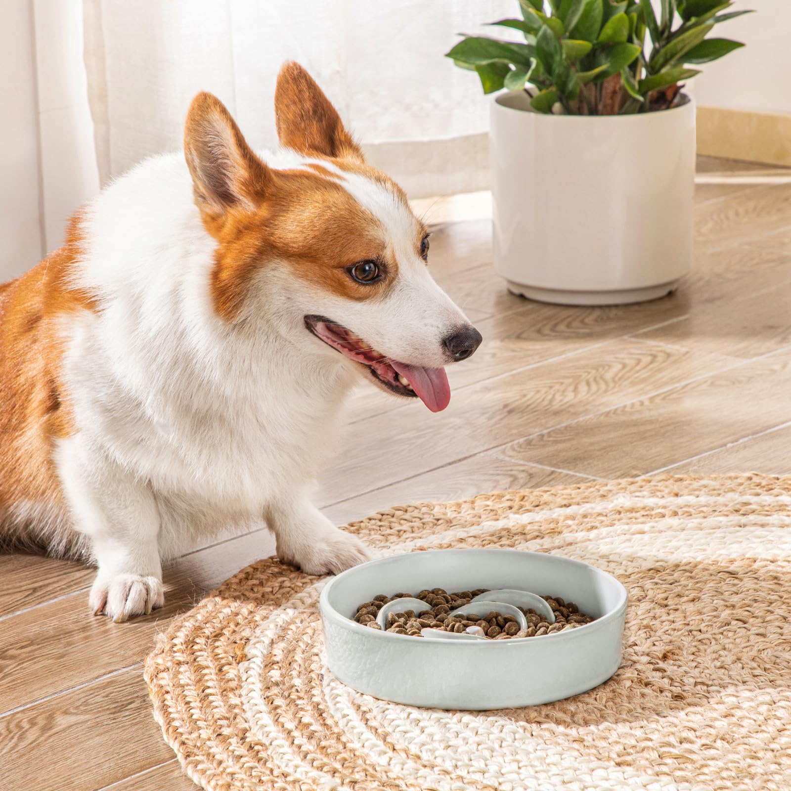 Vancasso ceramic bowl prevents plastic chips during chewing