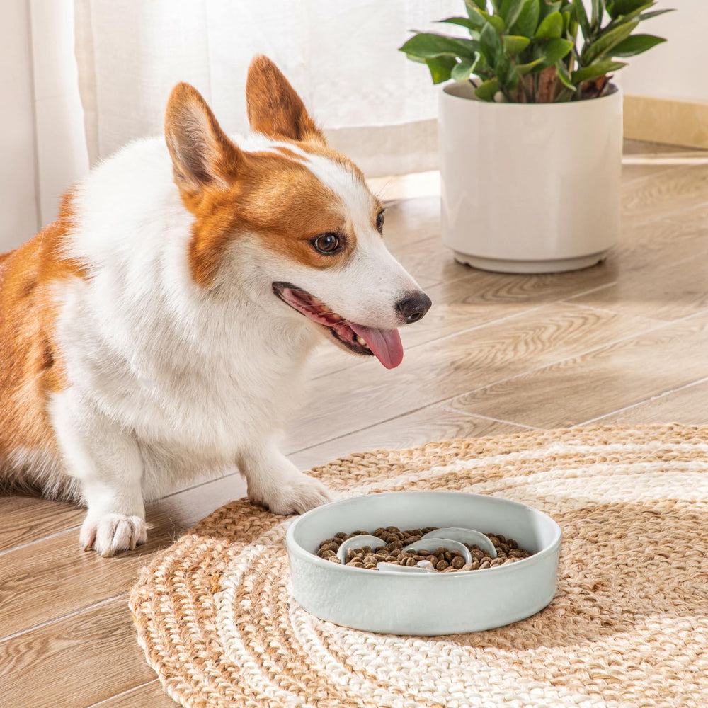 Vancasso ceramic bowl prevents plastic chips during chewing