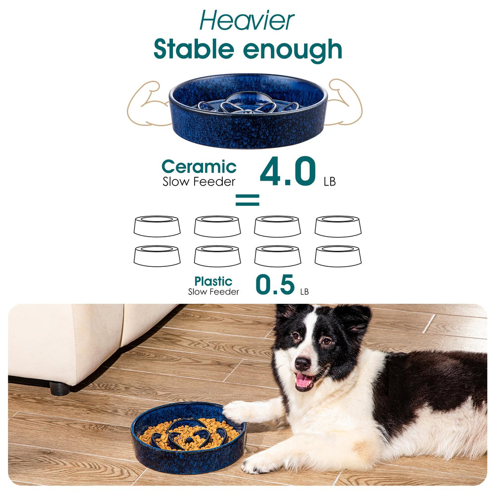 vancasso slow feeder dog bowl blue 3-cup capacity visible in frame