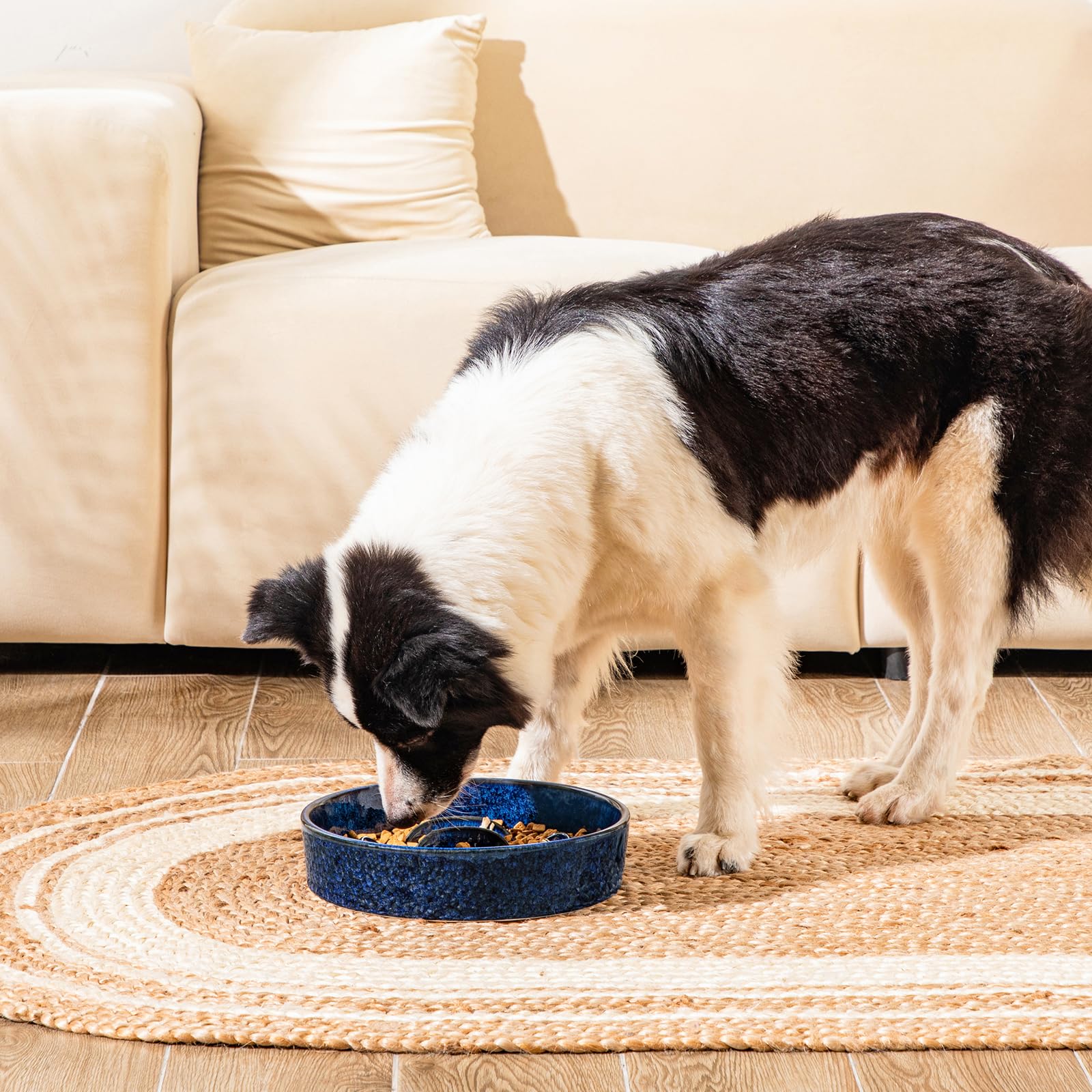 vancasso slow feeder dog bowl blue anti-slip bottom keeps bowl steady