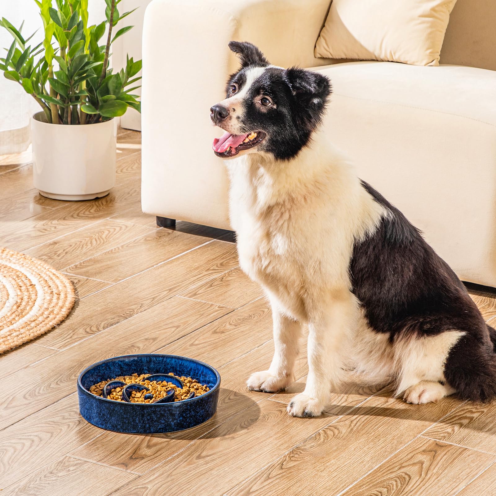 vancasso slow feeder dog bowl blue easy-to-clean smooth surface