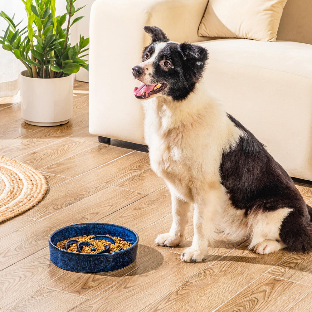 vancasso slow feeder dog bowl blue easy-to-clean smooth surface