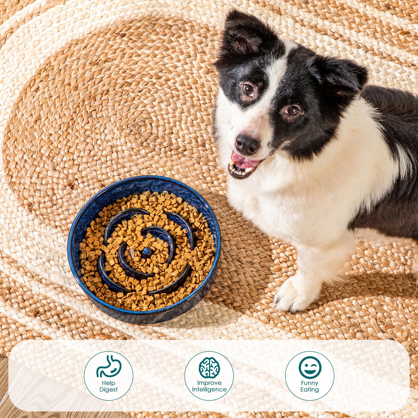 vancasso slow feeder dog bowl blue dog eating calmly during mealtime