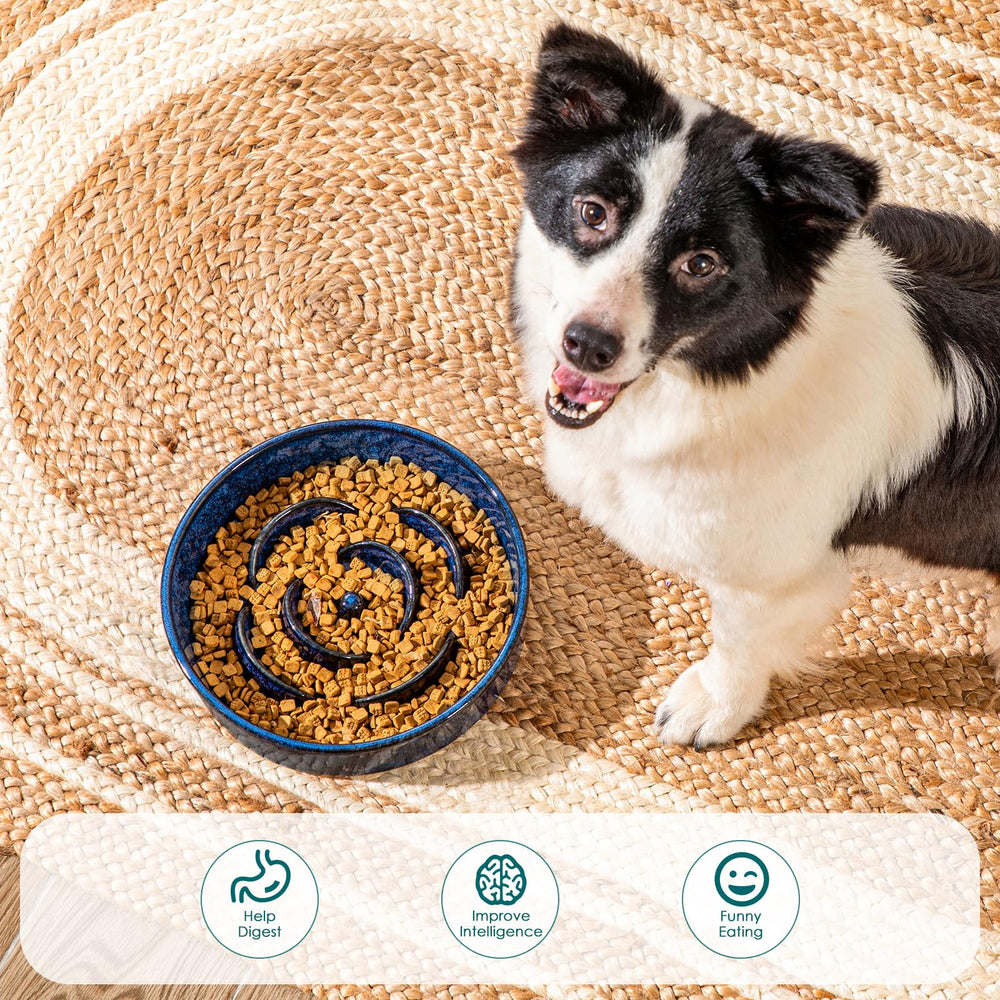 vancasso slow feeder dog bowl blue dog eating calmly during mealtime