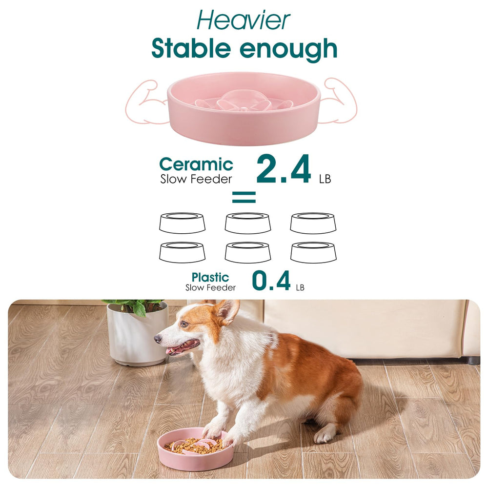 Vancasso slow feeder dog bowl 1-5-cup capacity reveals suitable portions for medium breeds.