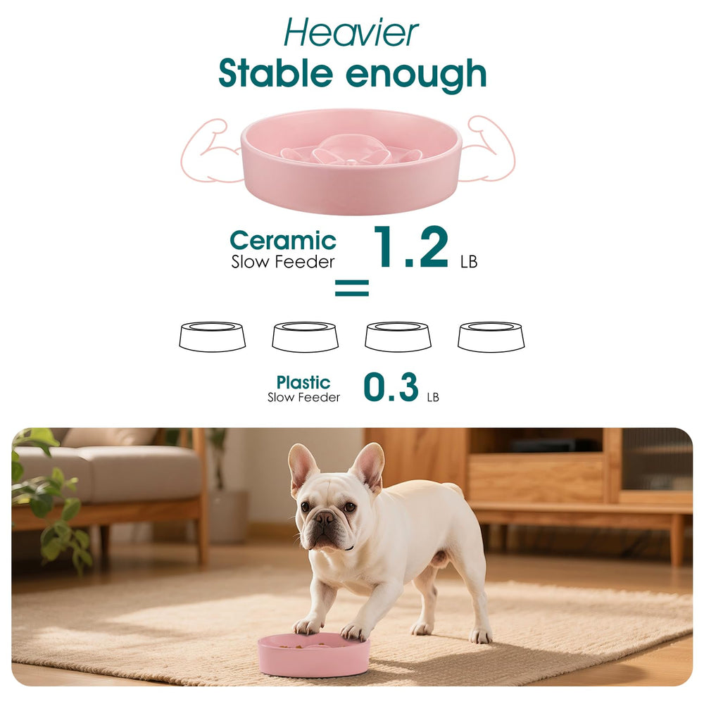 Vancasso durable ceramic reduces chew hazards for active dogs.