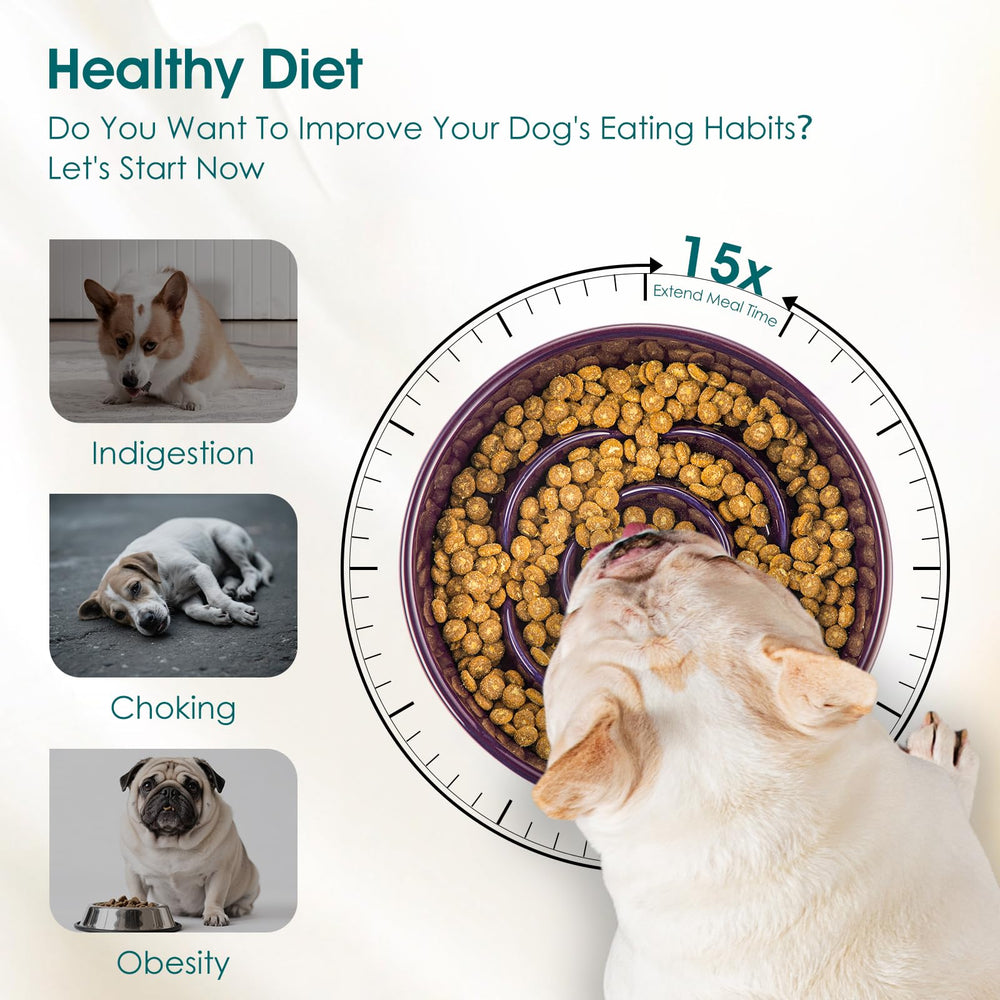 Vancasso slow feeder dog bowl ceramic surface emphasizes non-porous easy cleaning.