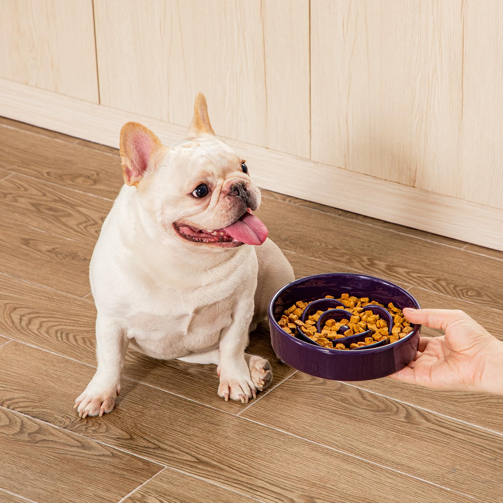 Vancasso slow feeder dog bowl easy to clean and resists staining.