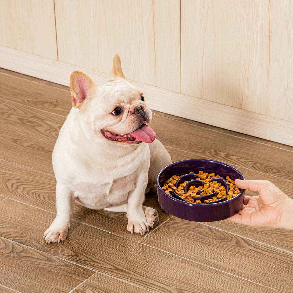Vancasso slow feeder dog bowl easy to clean and resists staining.
