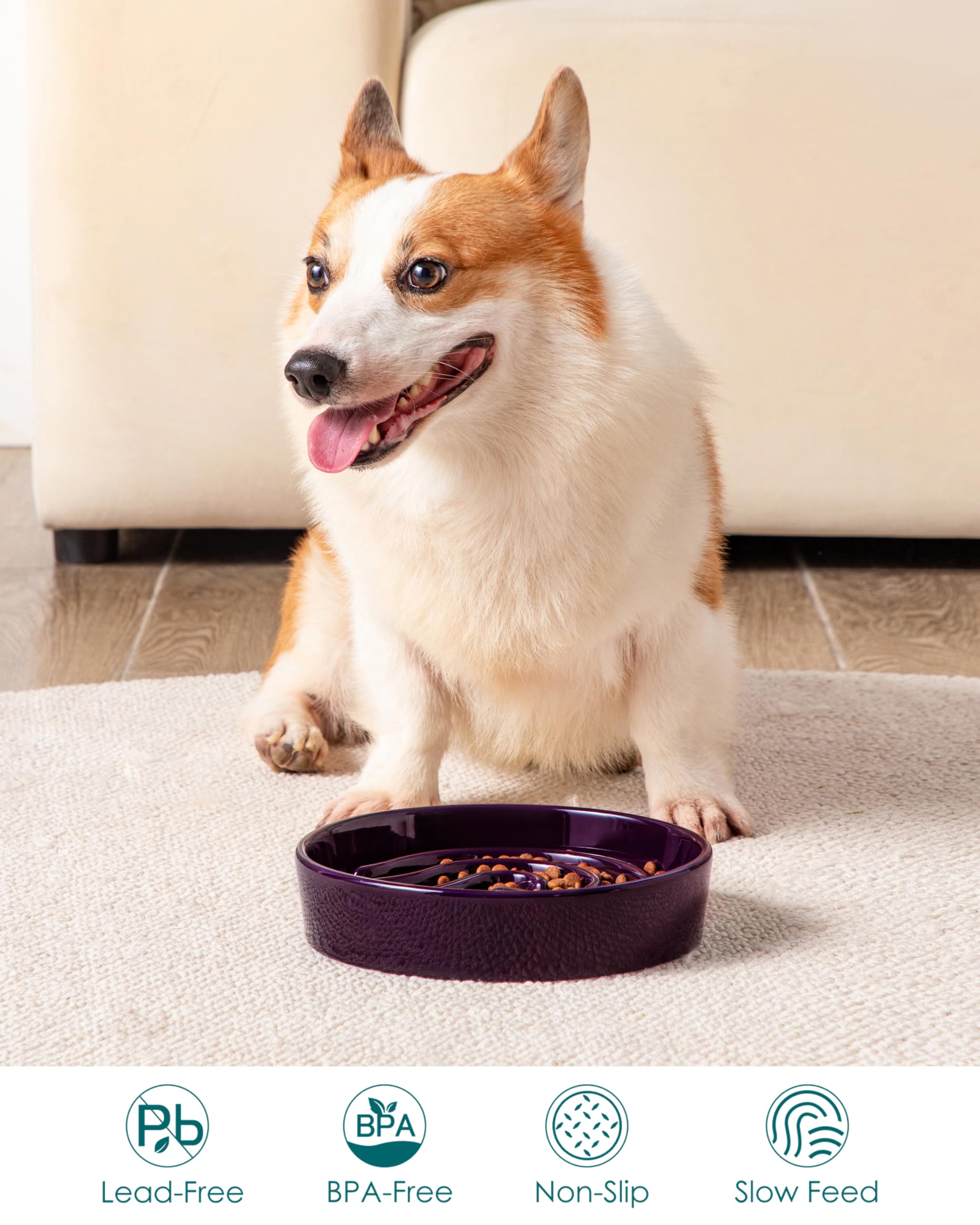Vancasso slow feeder dog bowl dark purple bottom view emphasizes non slip base