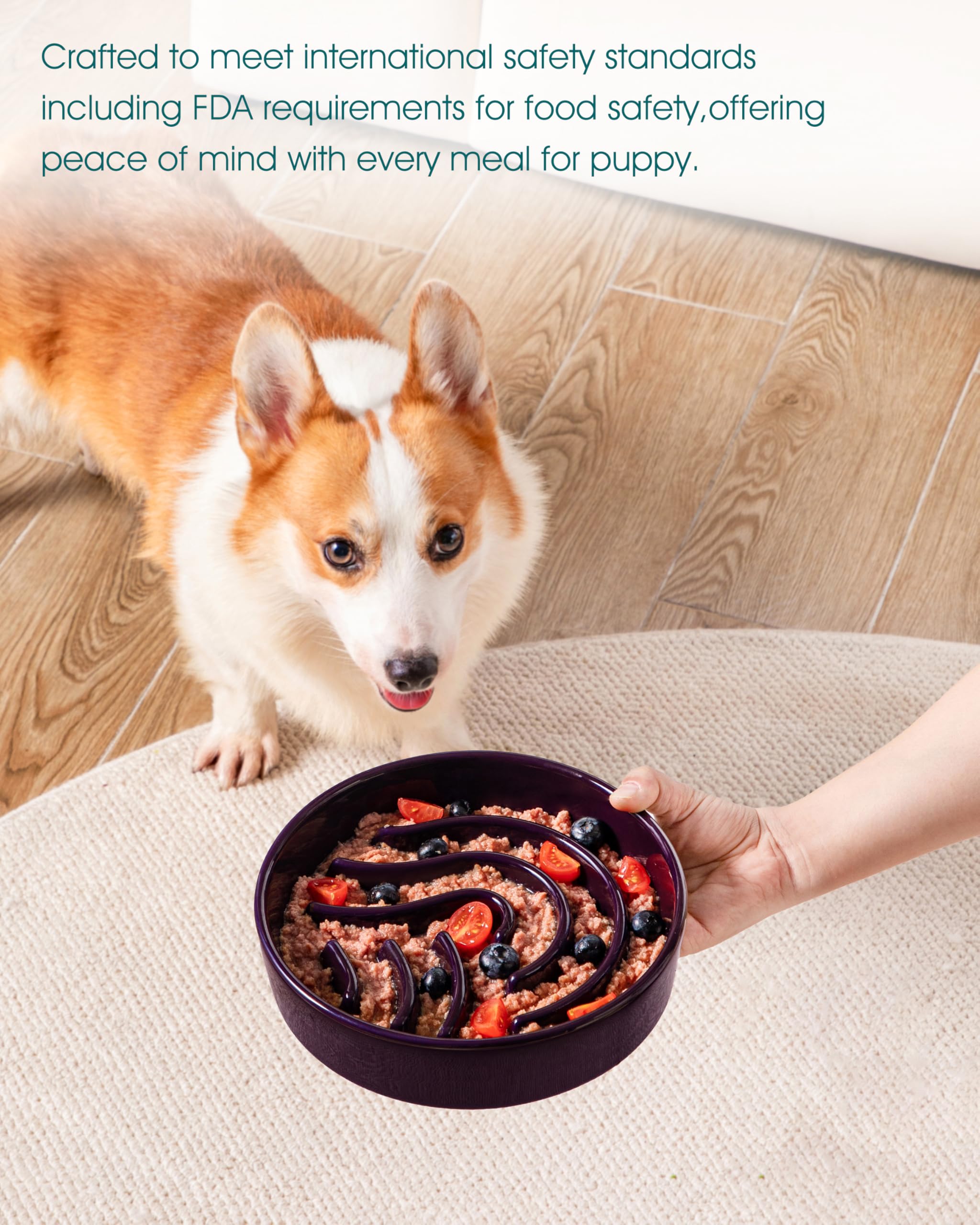Vancasso slow feeder dog bowl dark purple glaze close up demonstrates easy clean surface