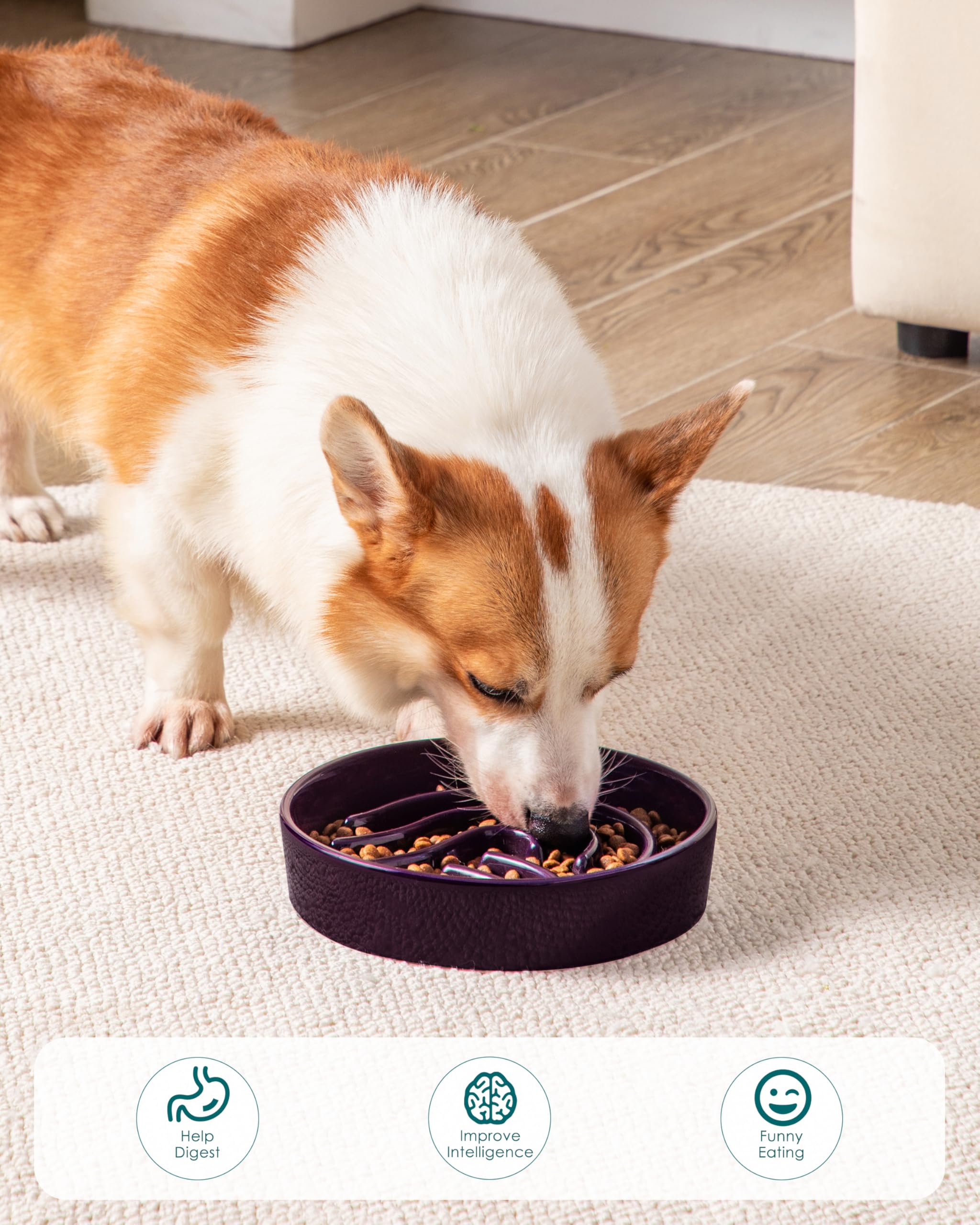 Vancasso slow feeder dog bowl dark purple ready to use image with packaging