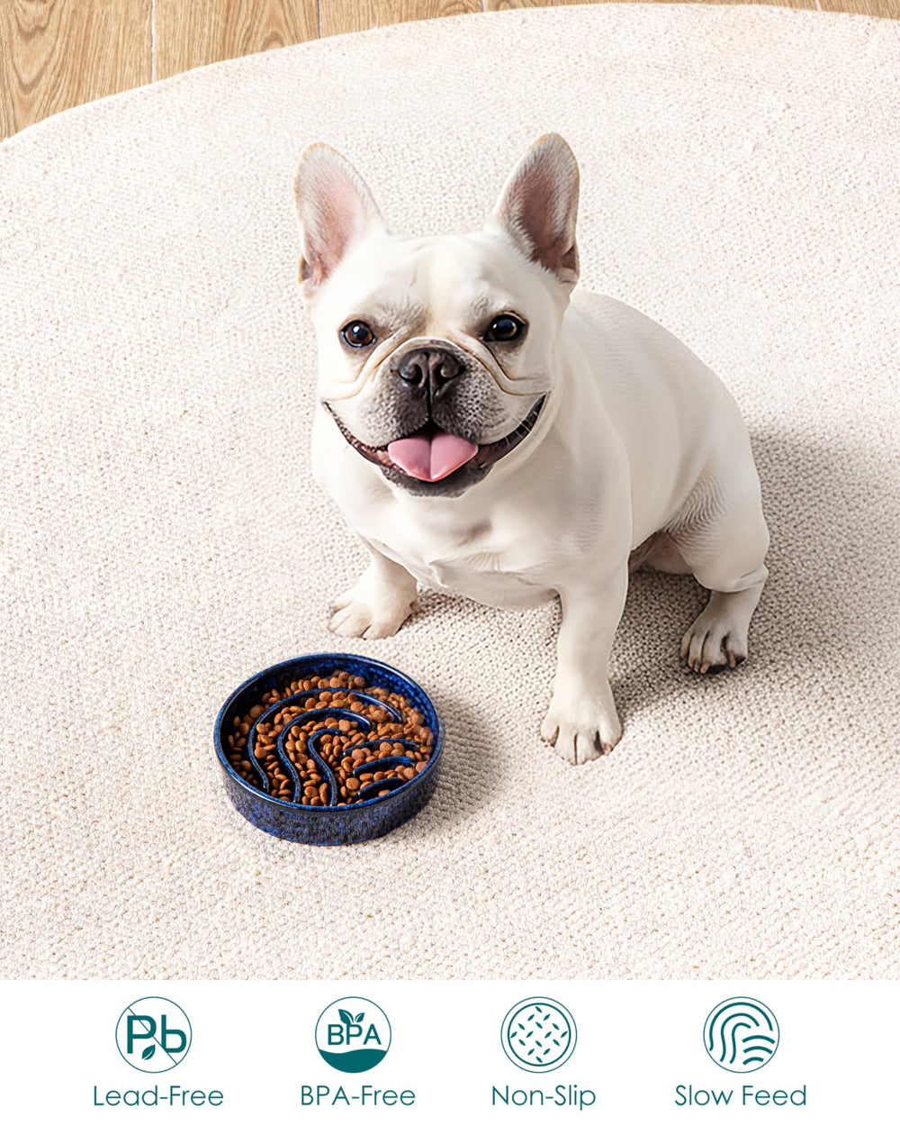 Vancasso glazed ceramic lead-free bowl with smooth food-safe surface for pets