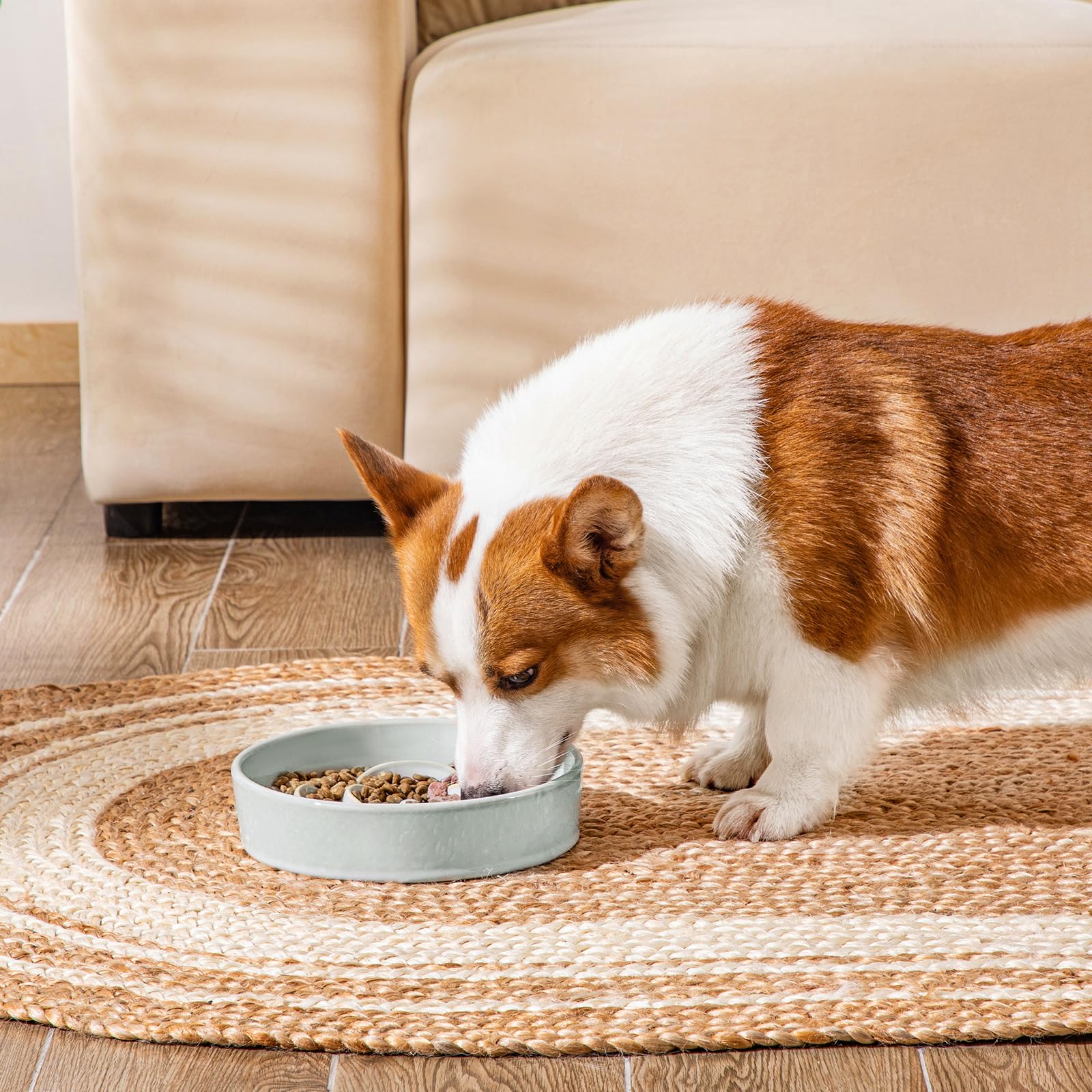 Vancasso grayish-cyan bowl combines style with slow-feeding benefits