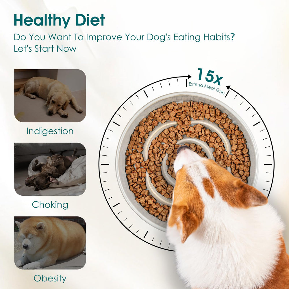 Vancasso slow feeder in use promotes slower meals for dogs.