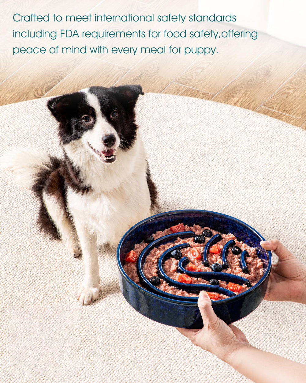 Vancasso slow feeder large capacity 3 cup bowl for big dogs during busy mornings