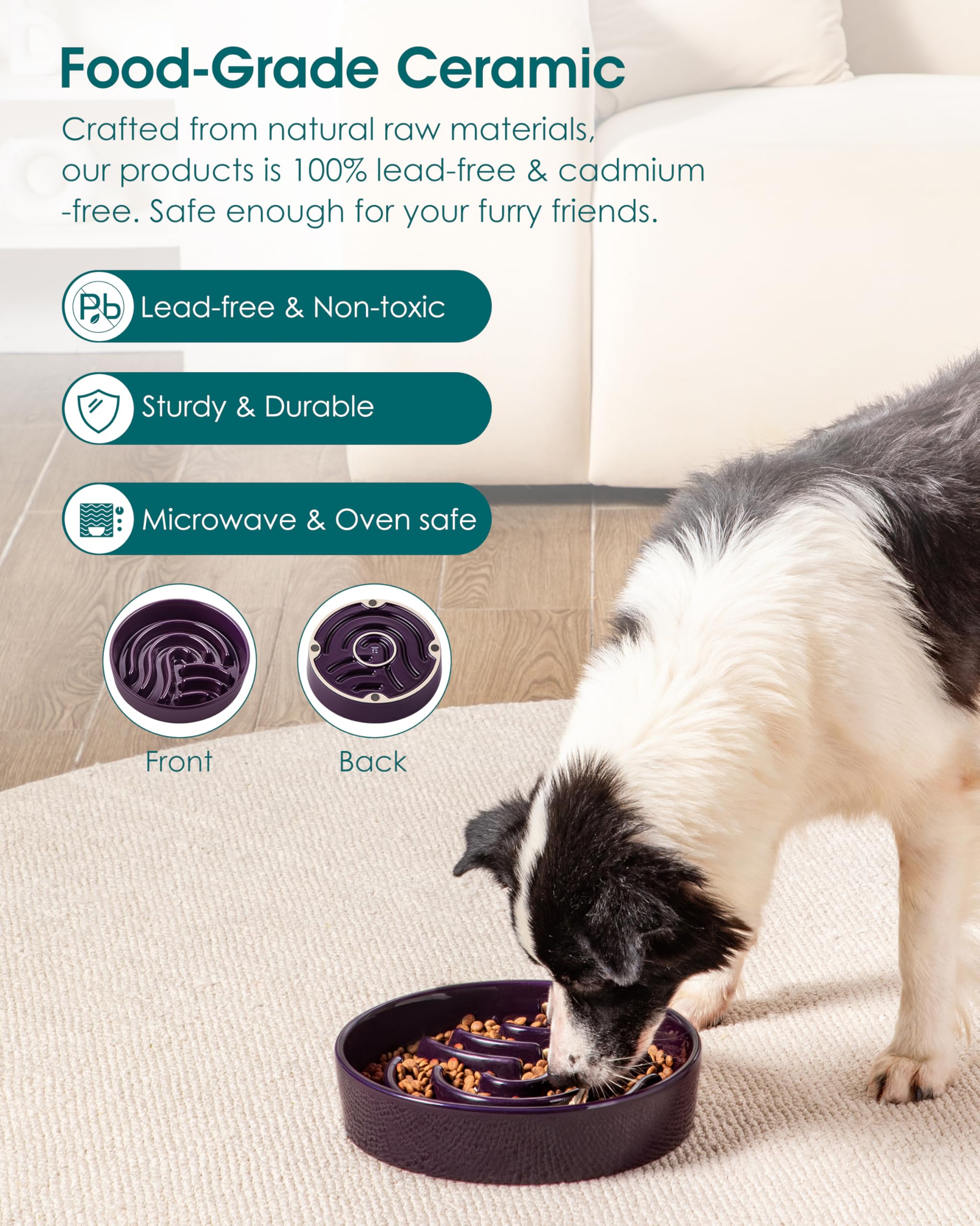 Vancasso large capacity option supports meals for big dogs or multi-pet homes