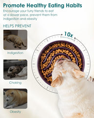 Vancasso slow-feeder dog bowl non-slip base stabilizes mealtime.