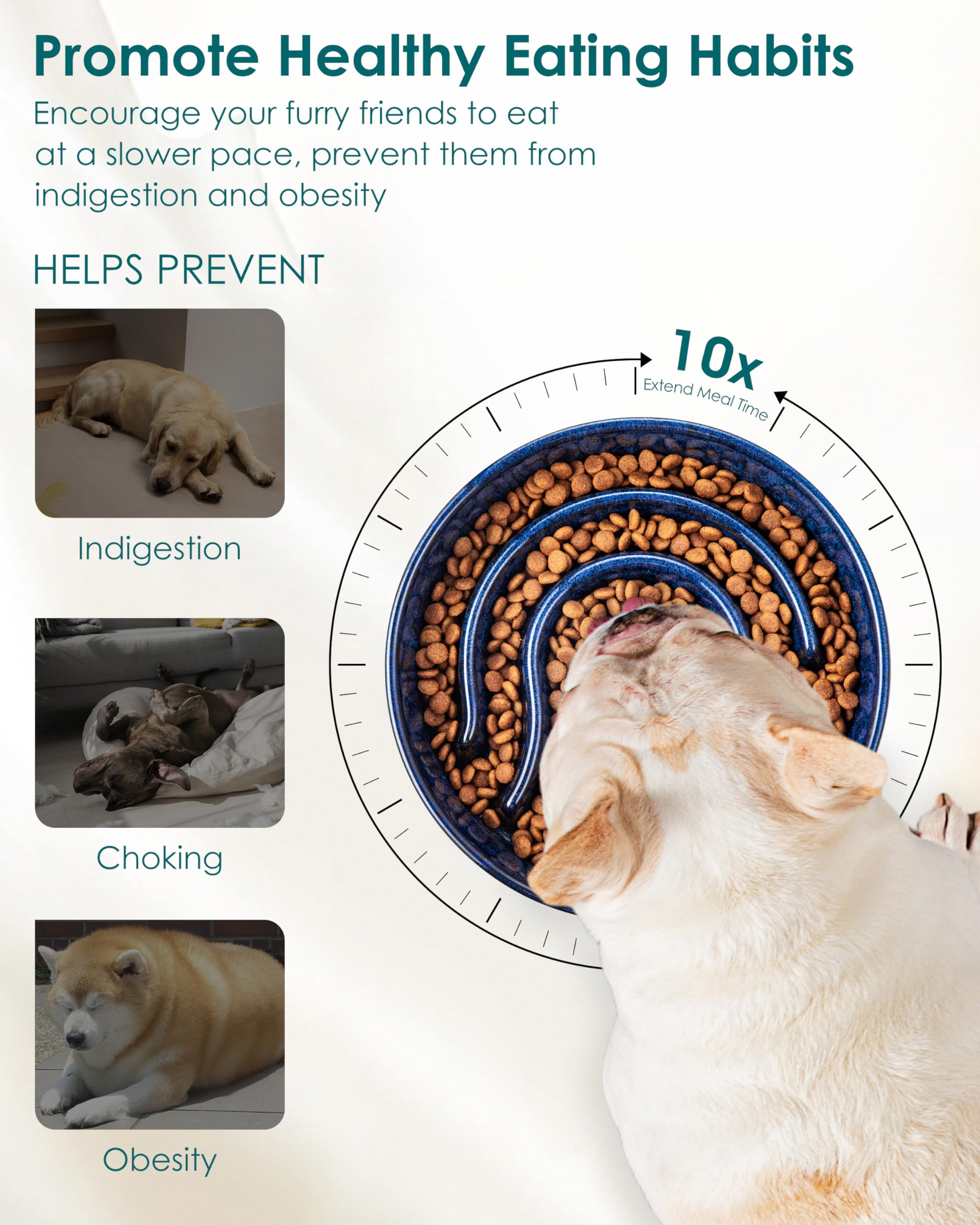 Vancasso slow-feeder bowl with non-slip bottom keeps meals steady during lively meals