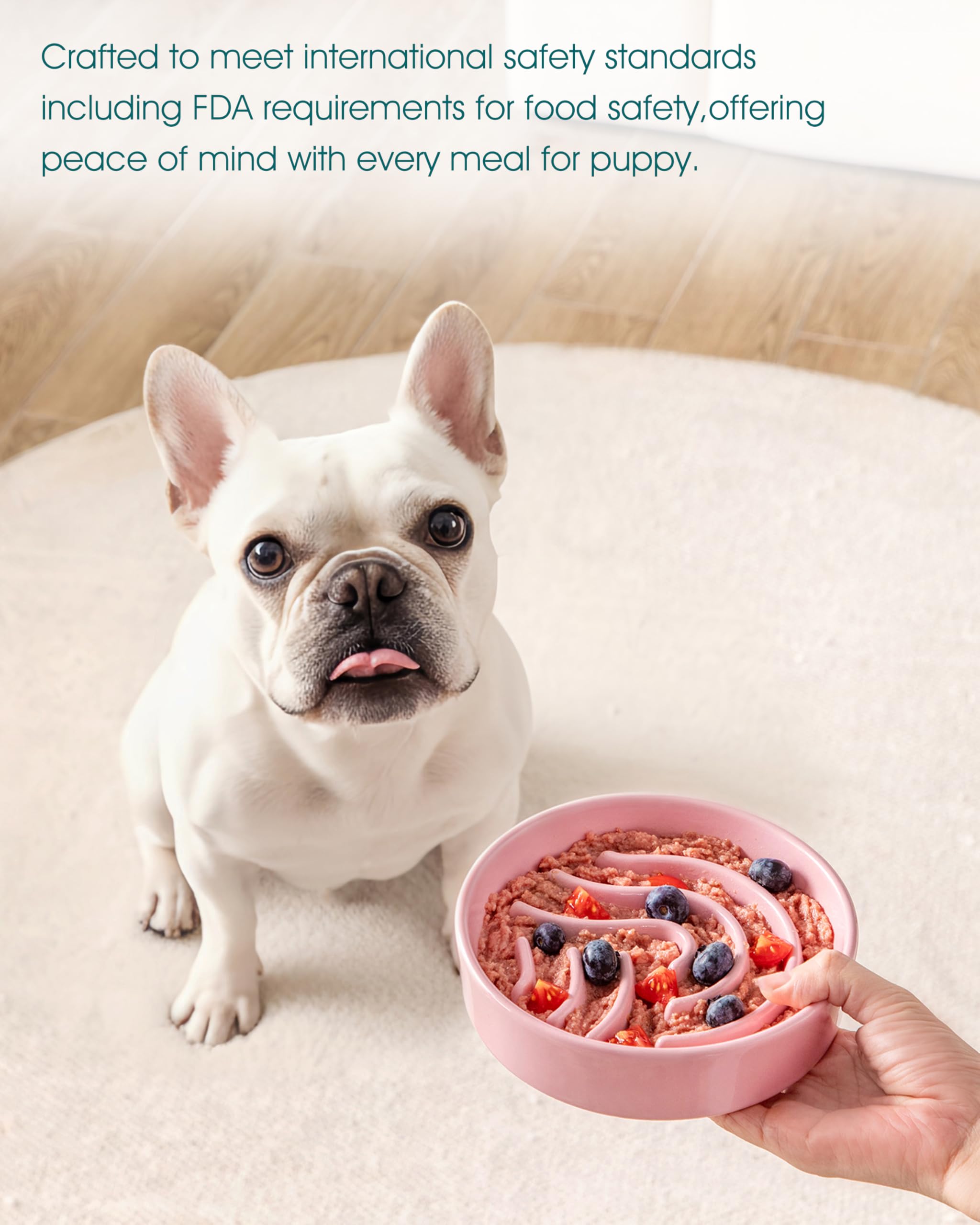 Vancasso slow feeder dog bowl pink 0.6 cup size fits tiny breeds.