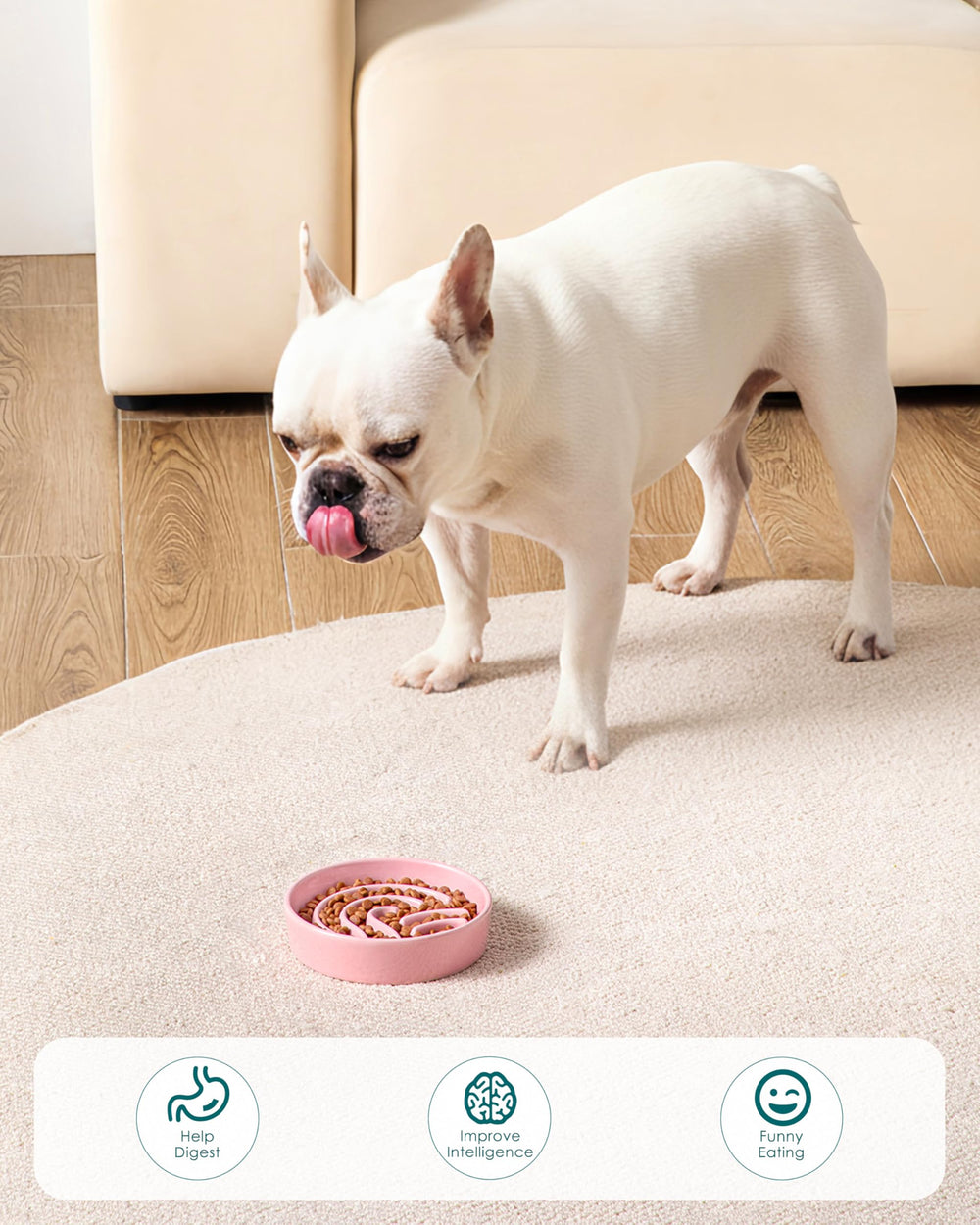 Vancasso slow feeder dog bowl pink dishwasher safe for effortless cleaning.