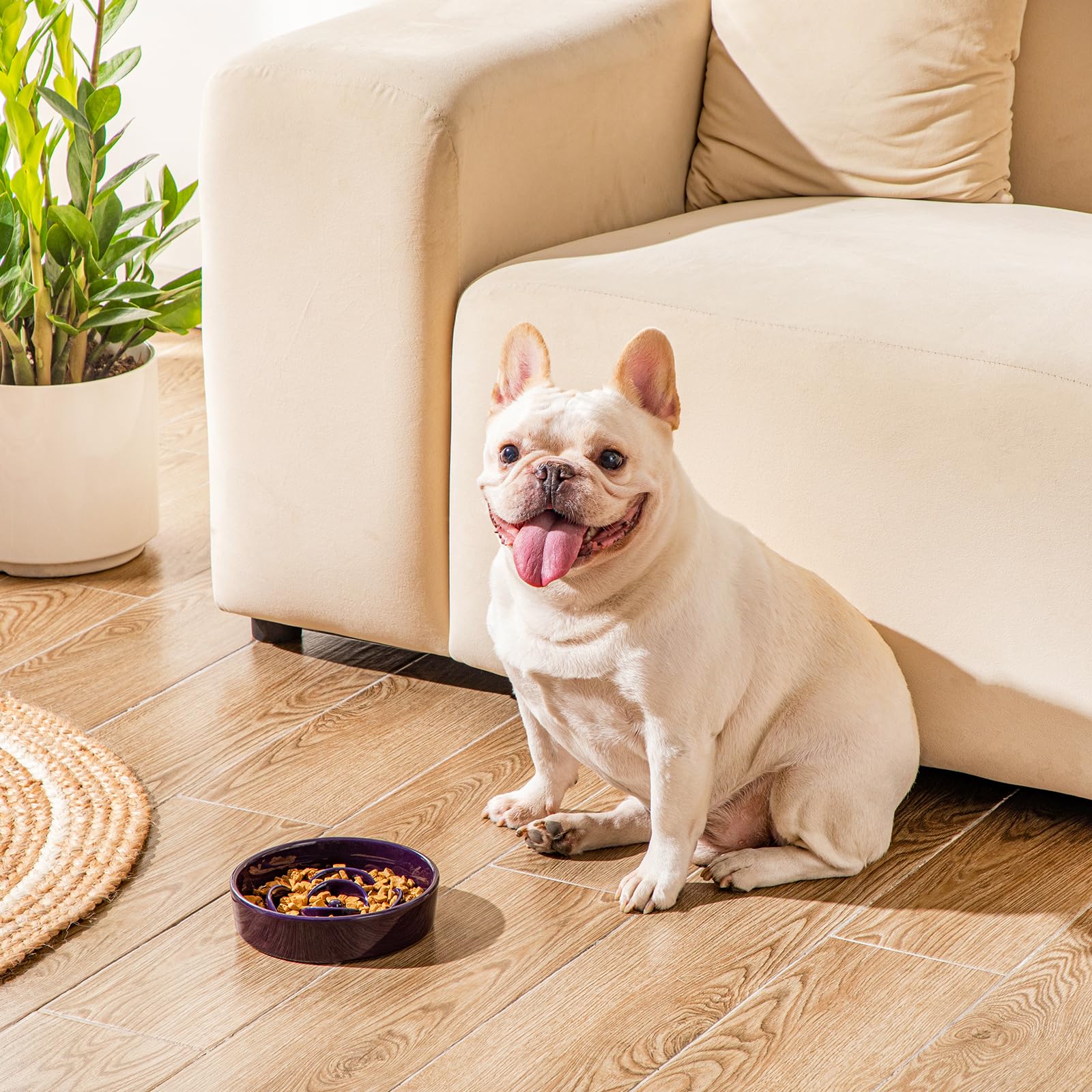 Vancasso slow feeder dog bowl supports portion control for balanced meals.