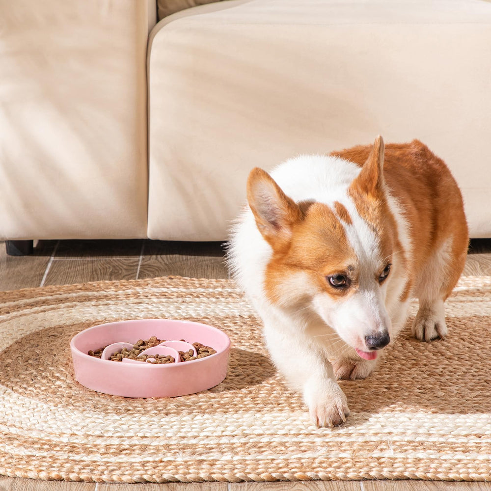 Vancasso slow feeder dog bowl safe-non-toxic-ceramic communicates safety and durability for chew-happy pets.