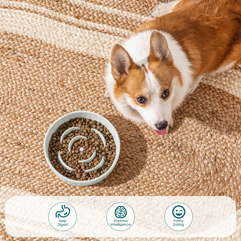 Vancasso ideal for small dogs during meals and treats