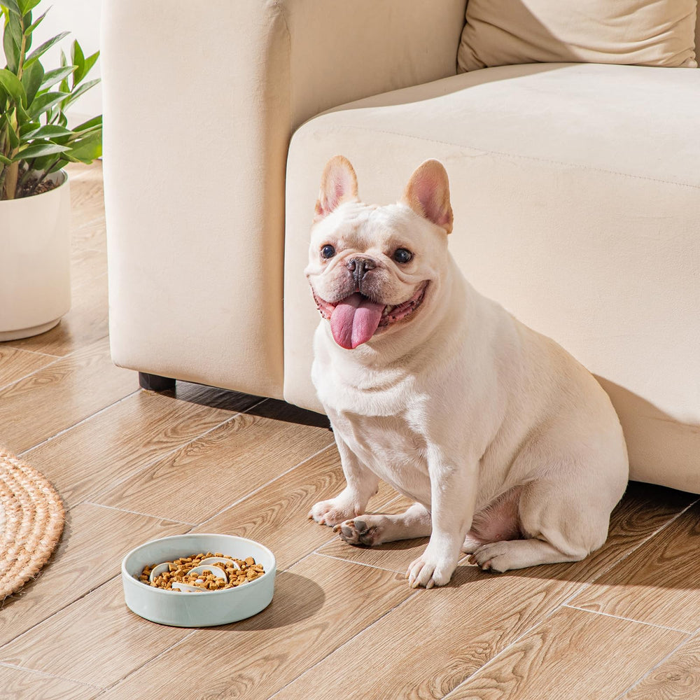 Vancasso small-dog friendly design fits Chihuahuas and Pomeranians