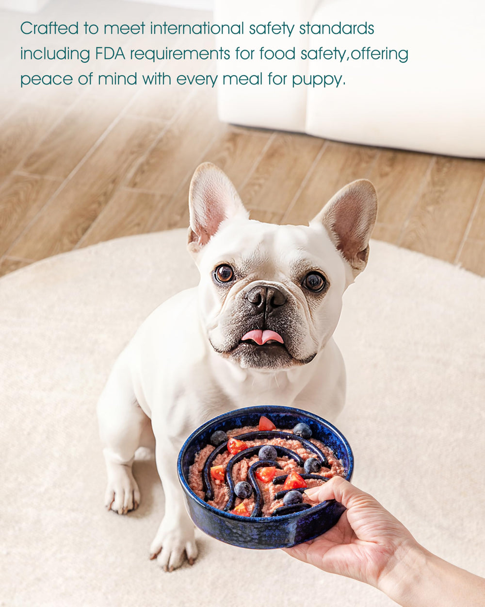 Vancasso weighted base design keeps bowl stable during enthusiastic meals