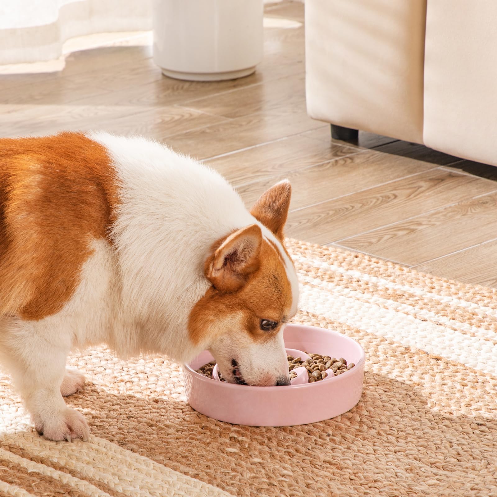 Vancasso slow feeder dog bowl wide-stability highlights bottom stability for mess-free meals.