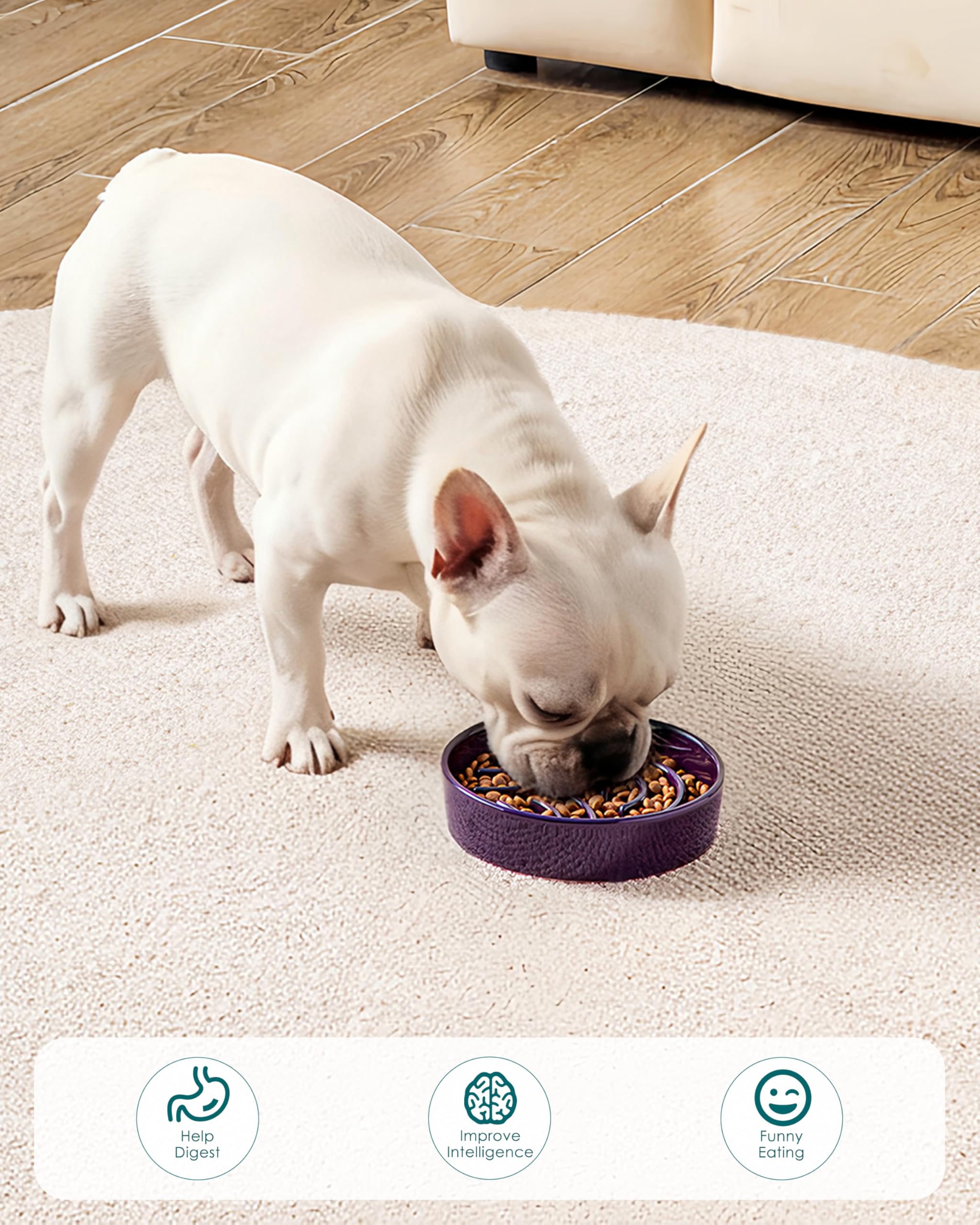 Vancasso slow-feeder puzzle bowl makes mealtime engaging.