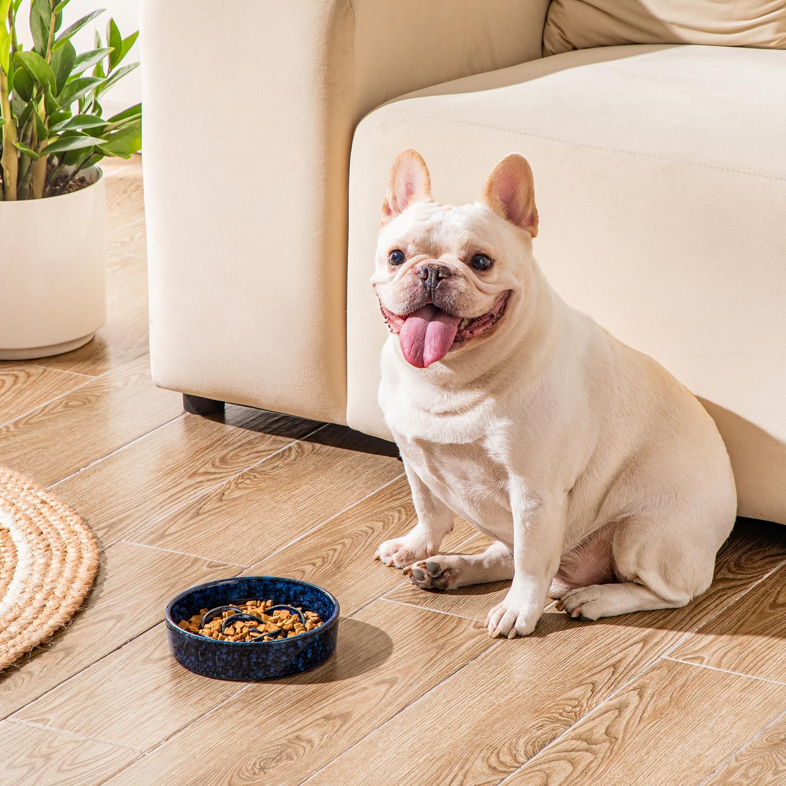 Vancasso slow feeder for small dogs and cats blue in daily feeding
