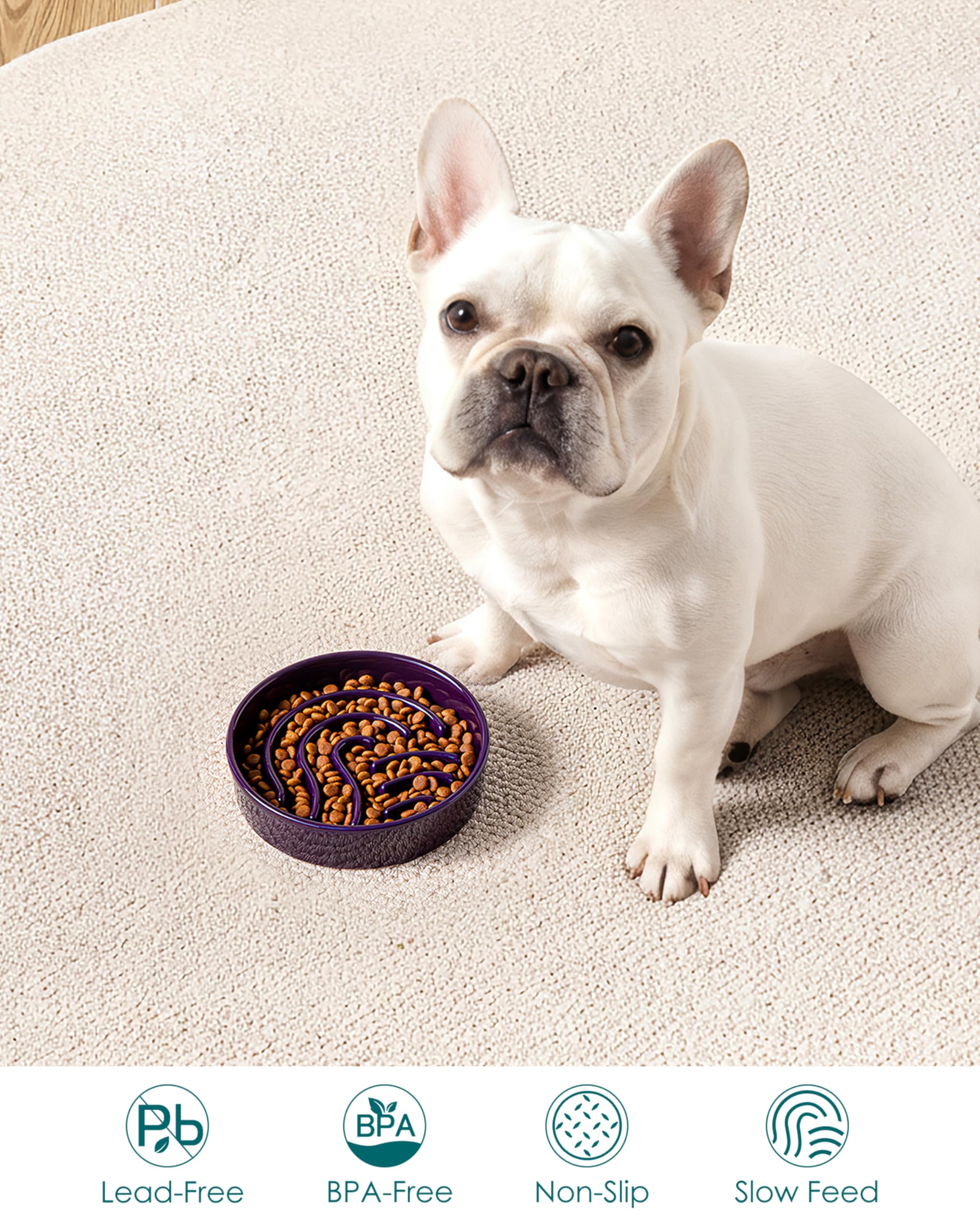 Vancasso slow-feeder small 0.6 cup size fits tiny breeds.