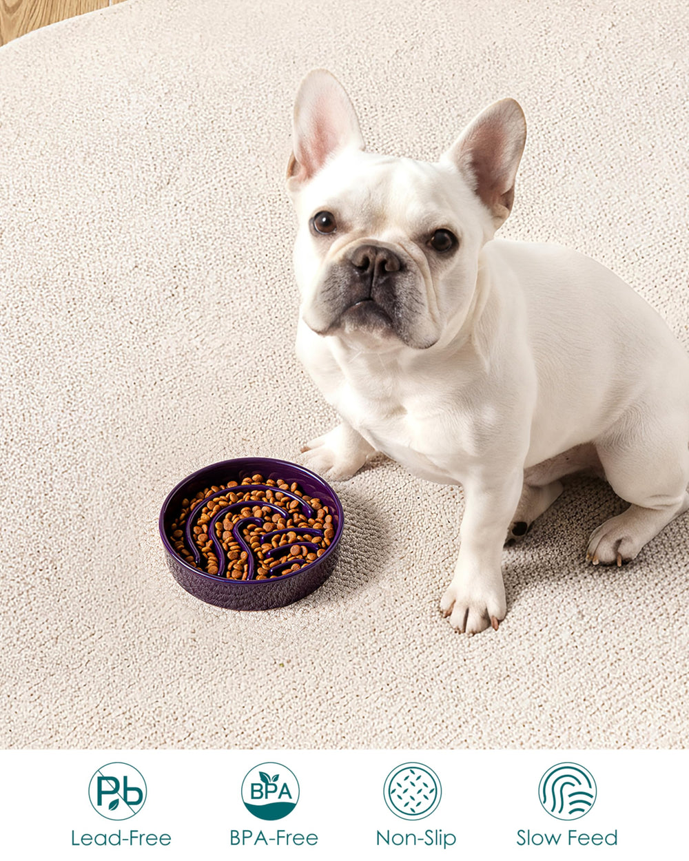 Vancasso slow-feeder small 0.6 cup size fits tiny breeds.