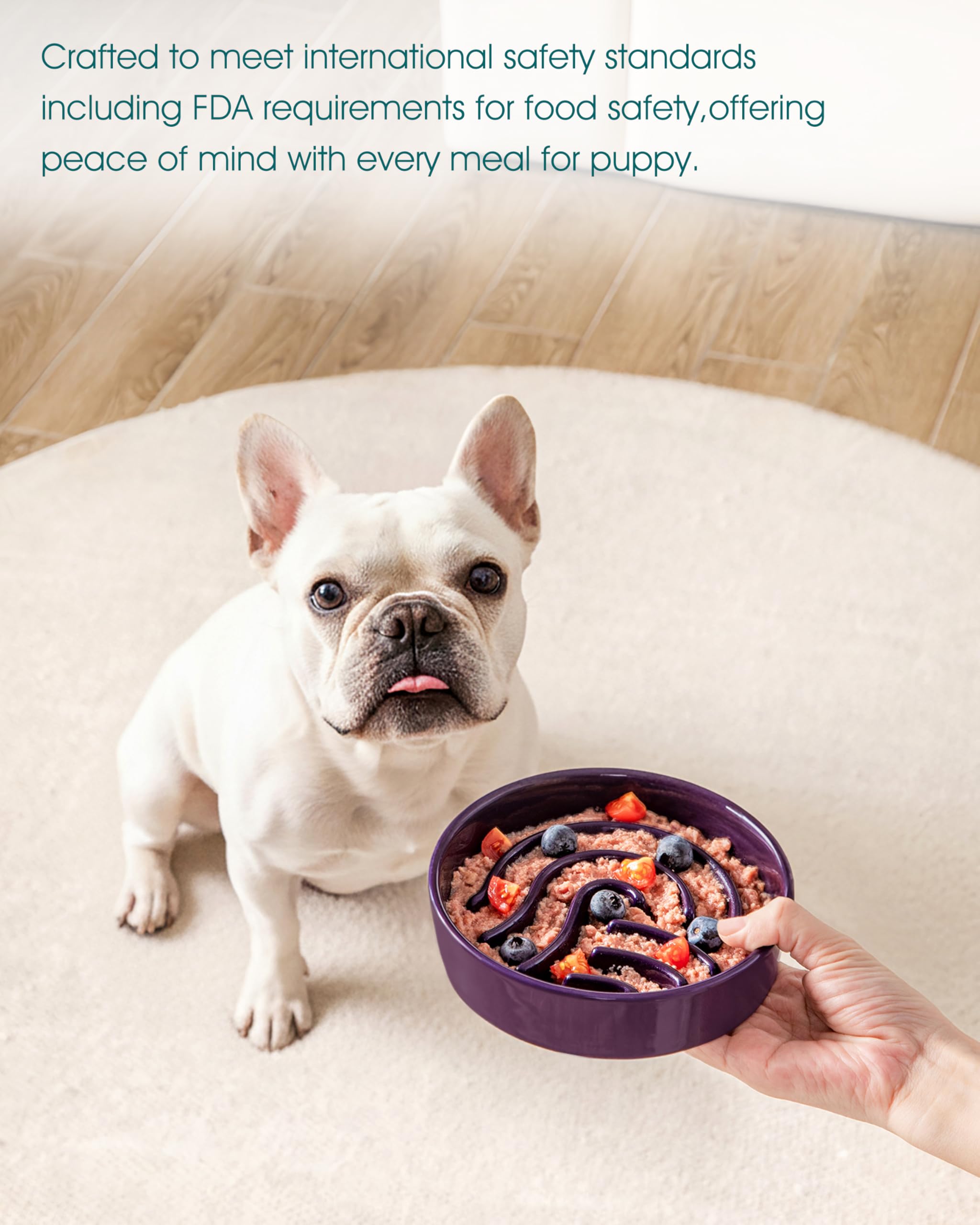 Vancasso slow-feeder sturdy ceramic base resists tipping.