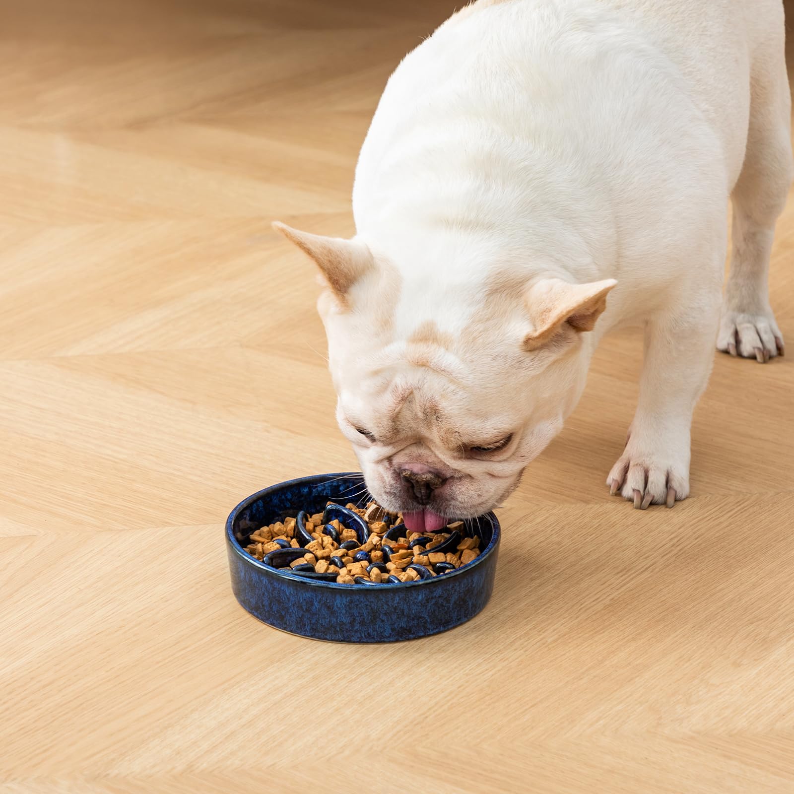Vancasso slow-feeder bowl supports slower meals for safer dining pacing.