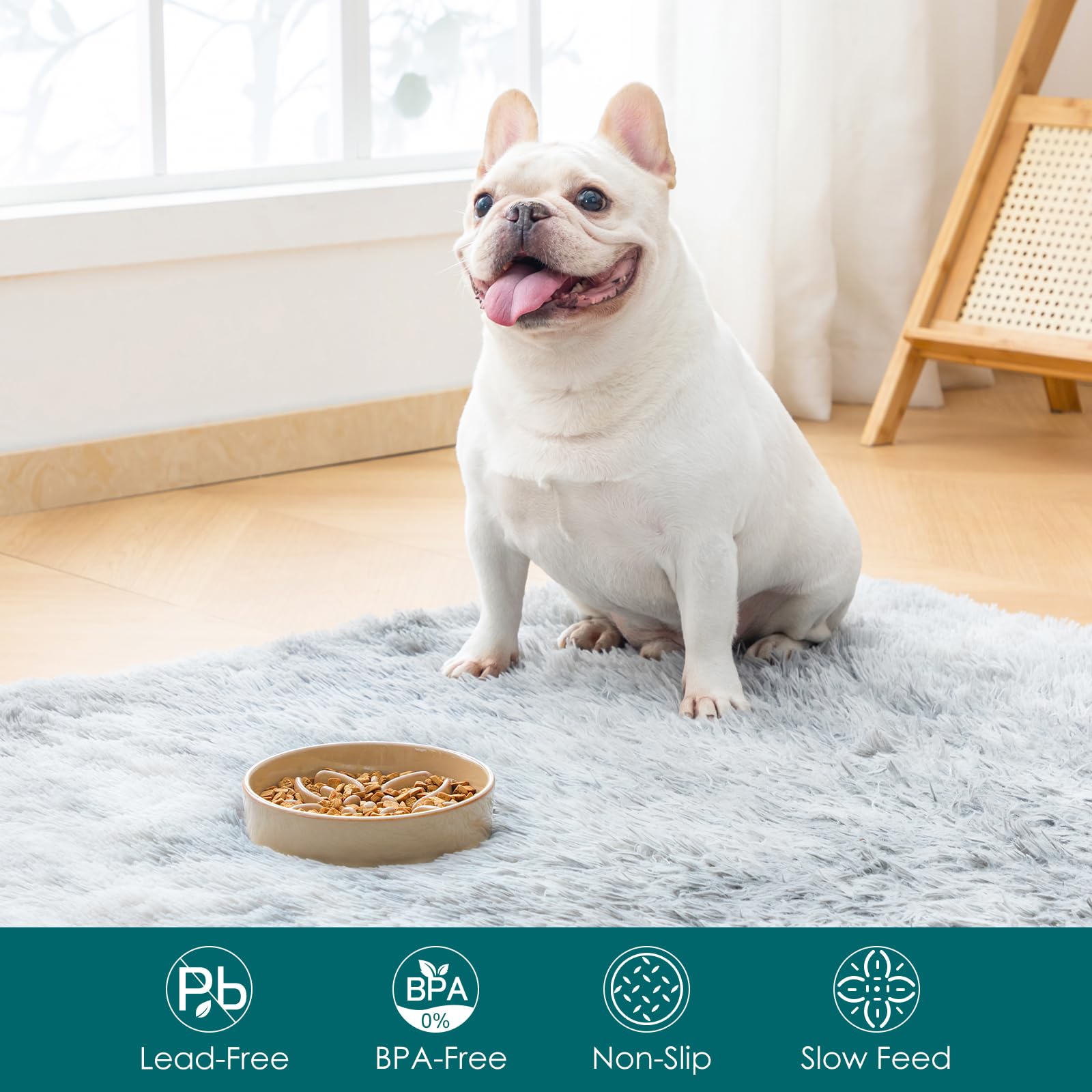 Vancasso small-breed bowl top-view emphasizes accessible, portion-controlled meals