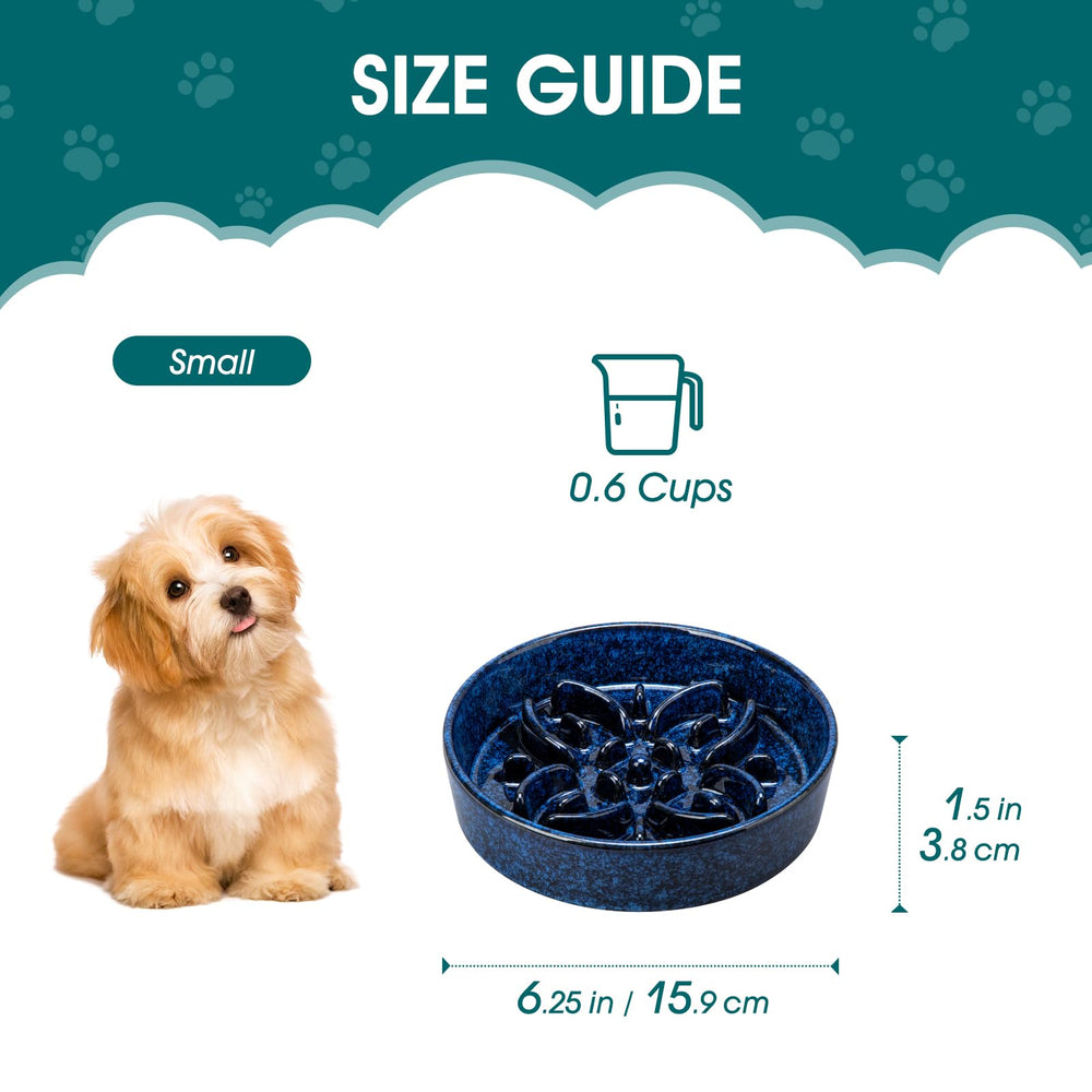 Vancasso small-dog size bowl helps portion control during meals.