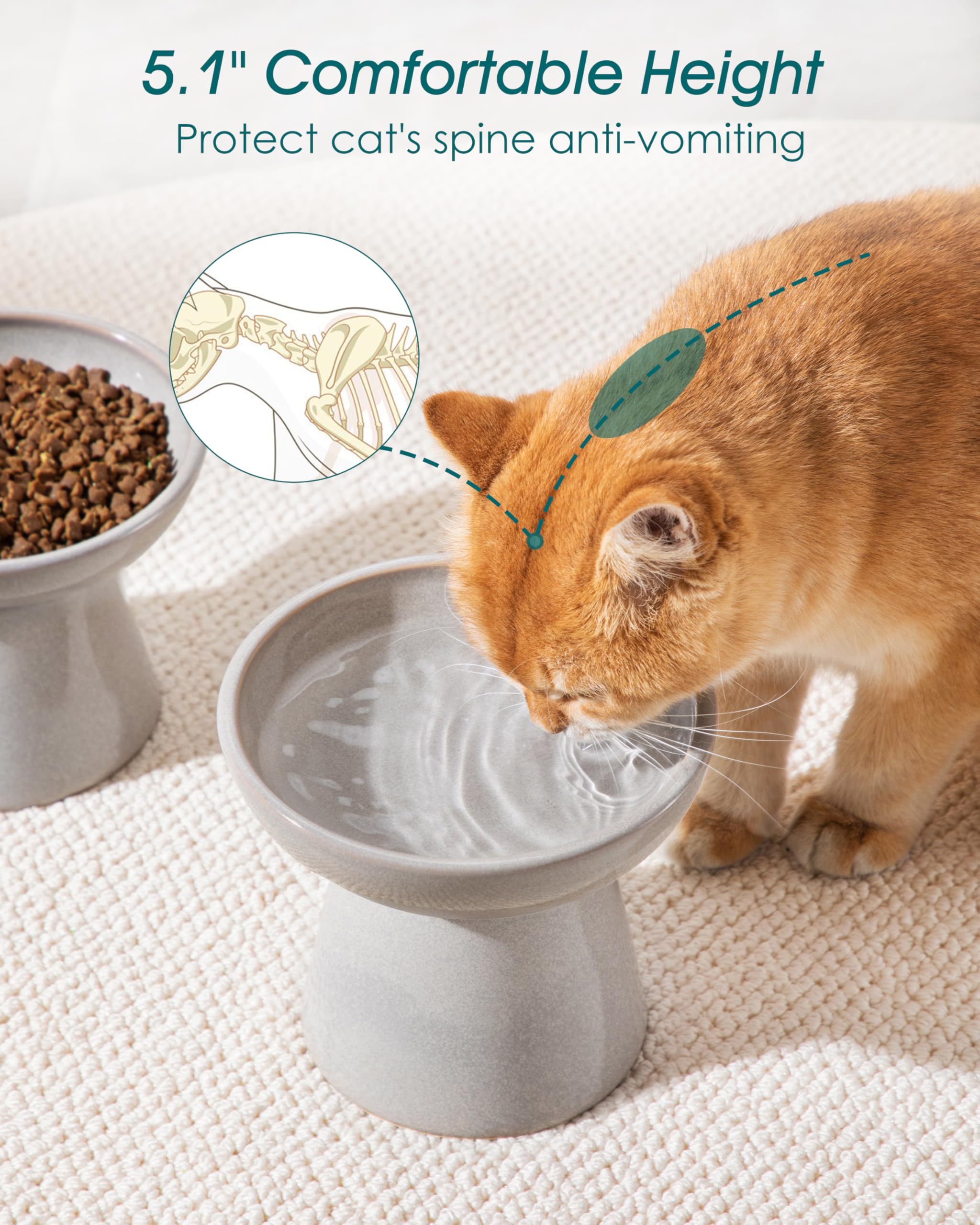 Vancasso whisker-fatigue-relief design enhances mealtime comfort.