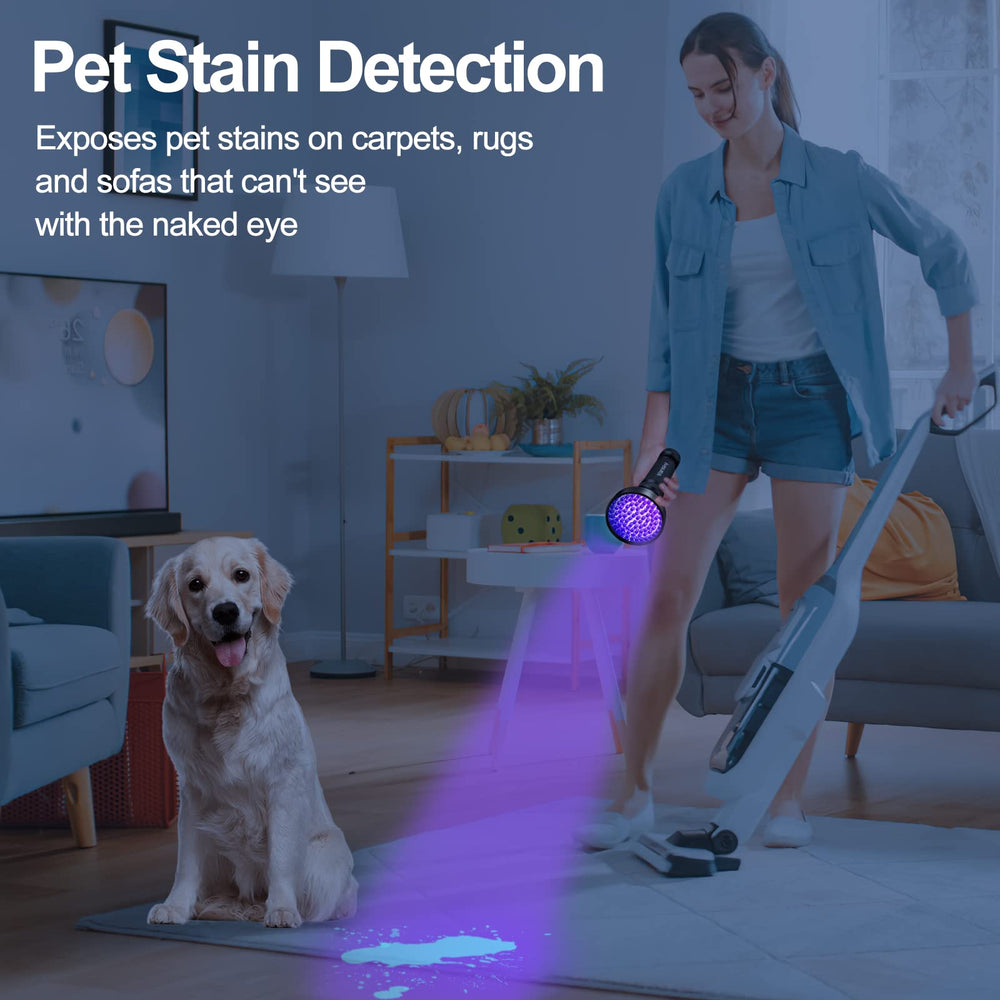 Vansky indoor-outdoor inspection UV reveals urine and smudges clearly.